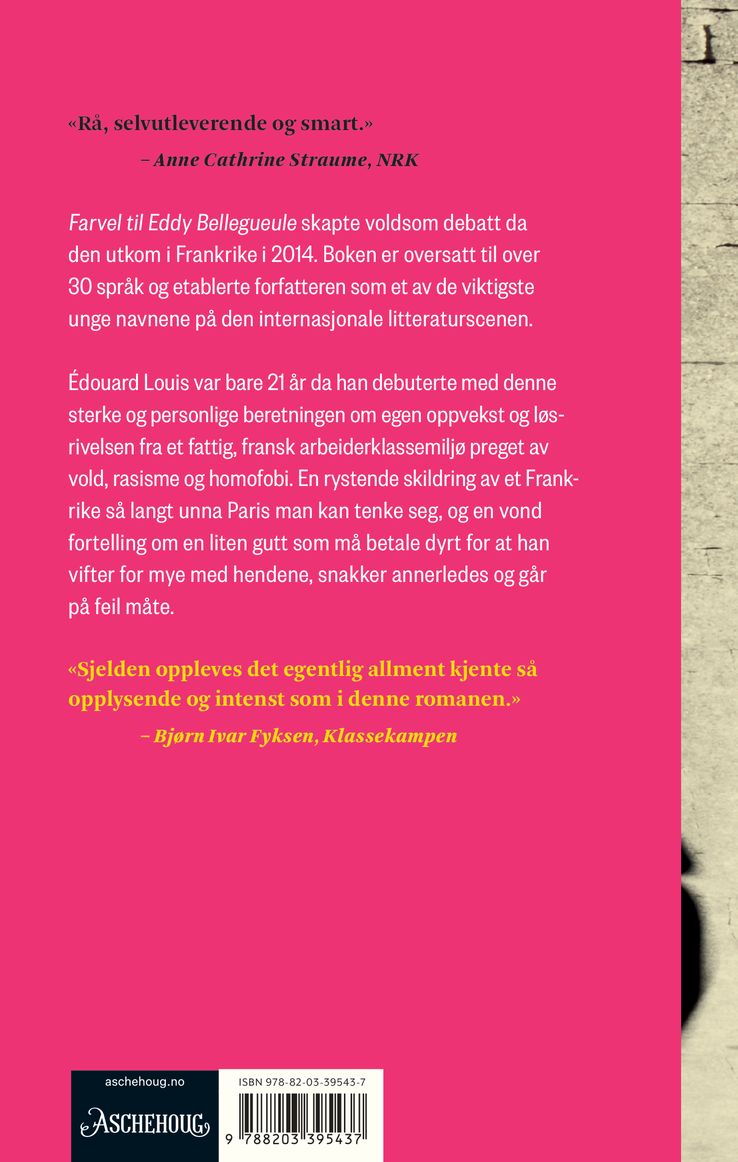 Farvel til Eddy Bellegueule