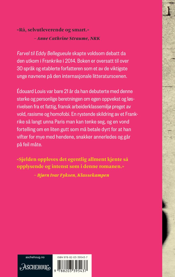 Farvel til Eddy Bellegueule