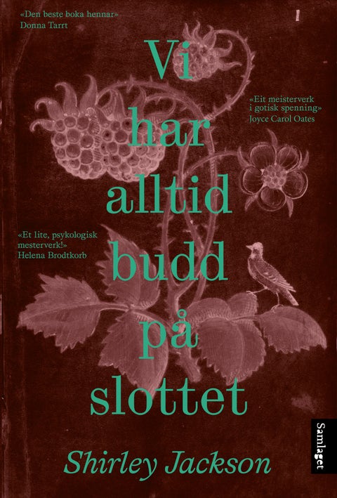 Vi har alltid budd på slottet - roman