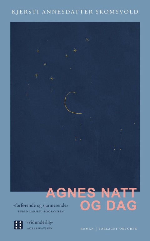 Agnes natt og dag - roman