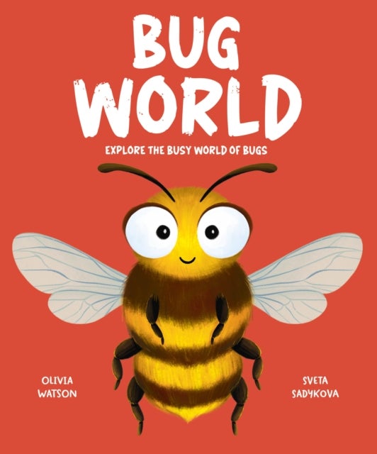 Bug World - Explore the busy world of bugs