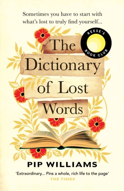 The dictionary of lost words
