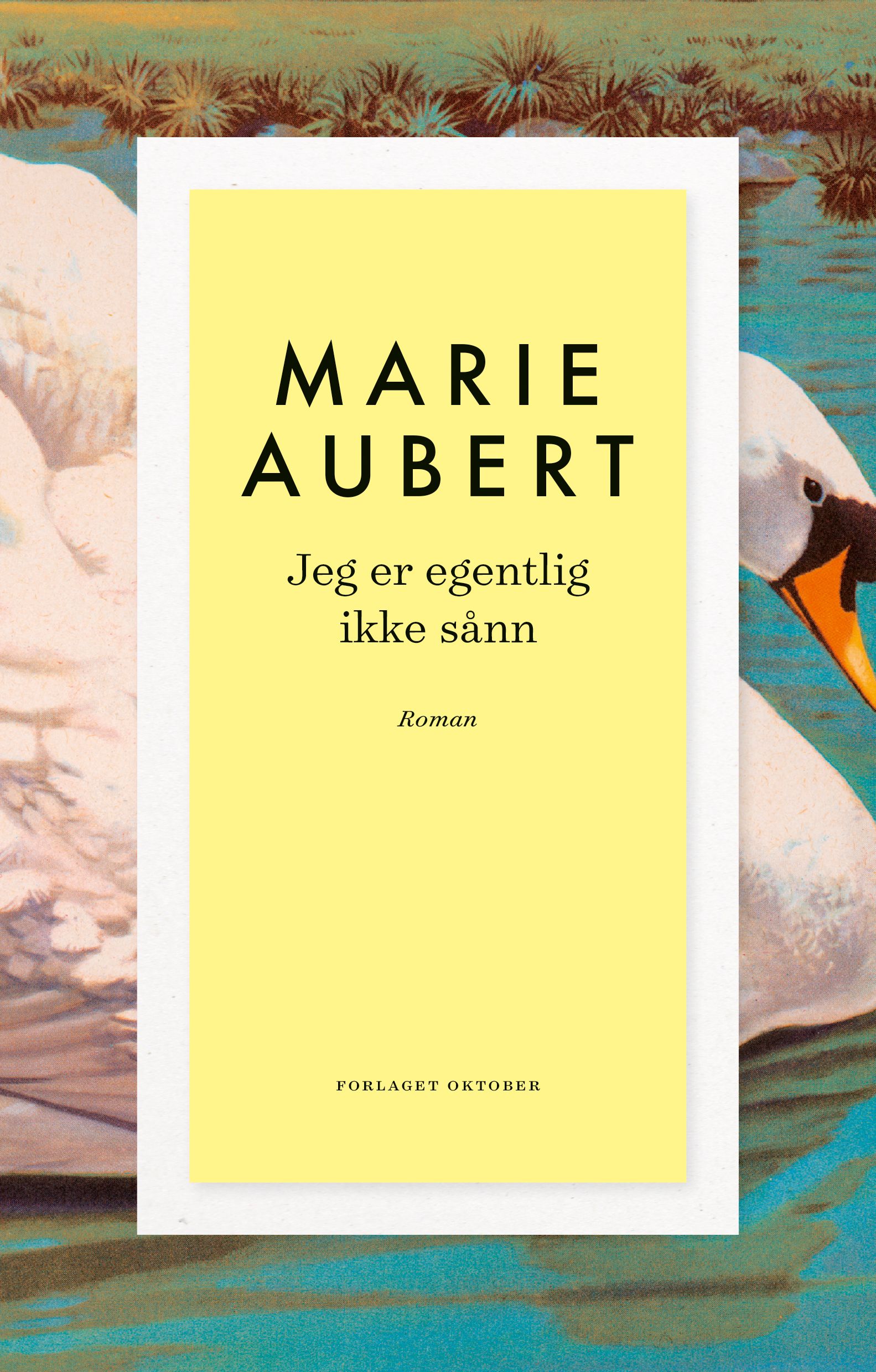 Jeg er egentlig ikke sånn - roman