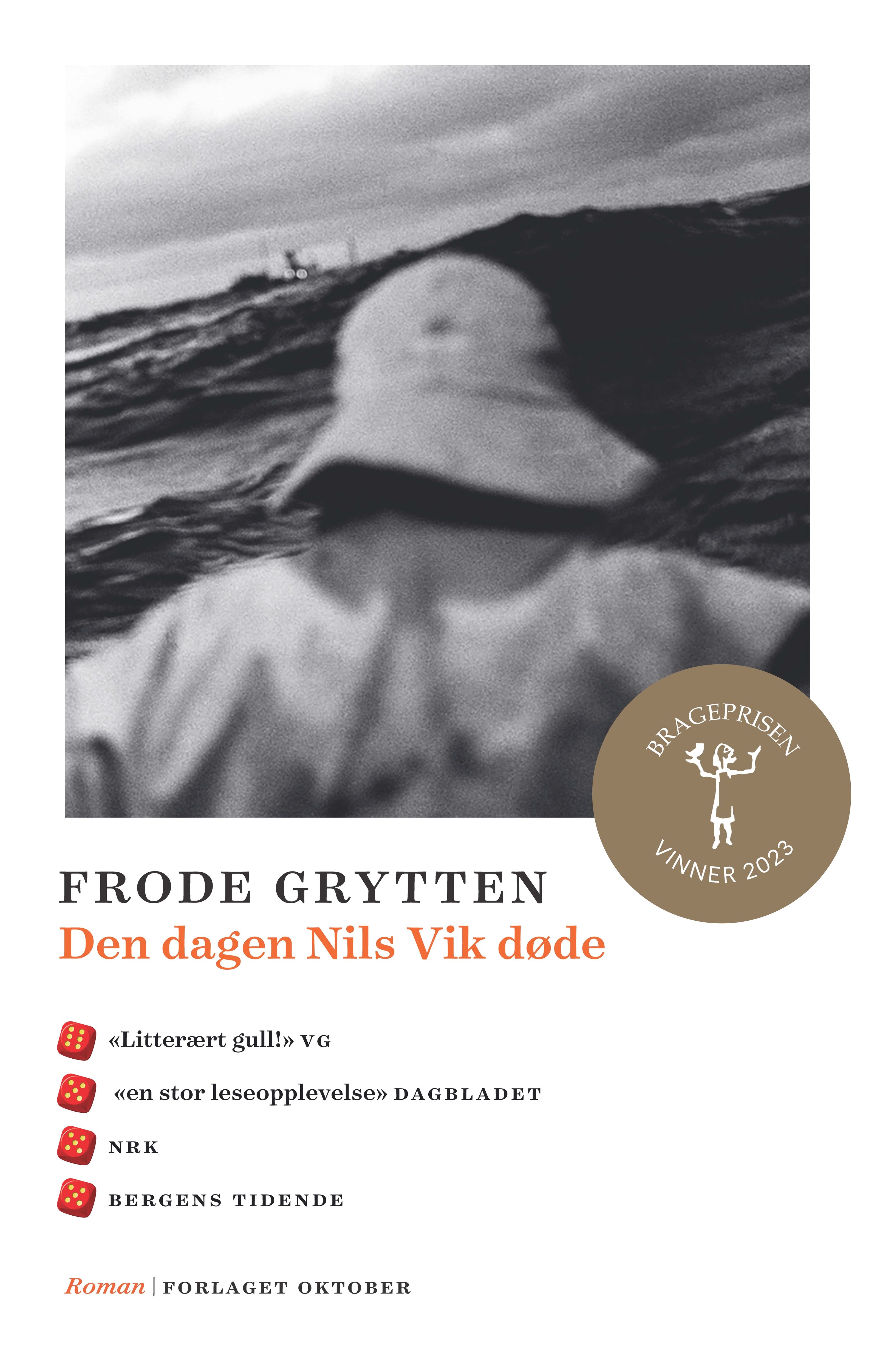 Den dagen Nils Vik døde - roman
