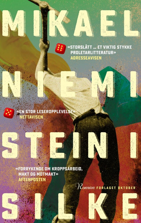 Stein i silke - roman