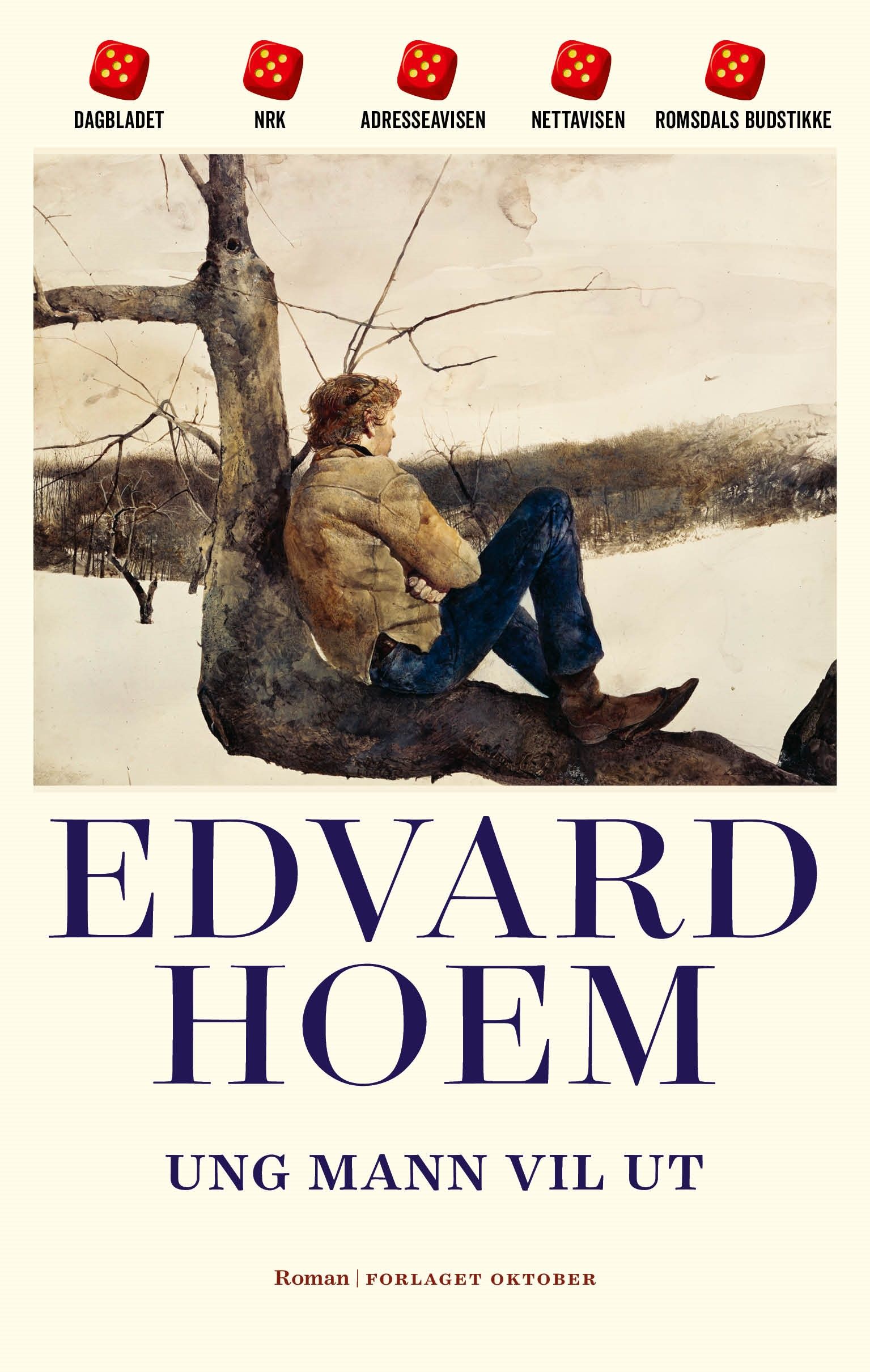 Ung mann vil ut - roman