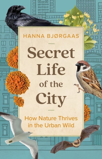 Secret Life of the City - How Nature Thrives in the Urban Wild