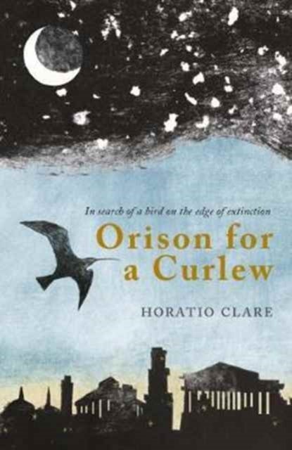 Orison for a Curlew - In Search of a Bird on the Edge of Extinction