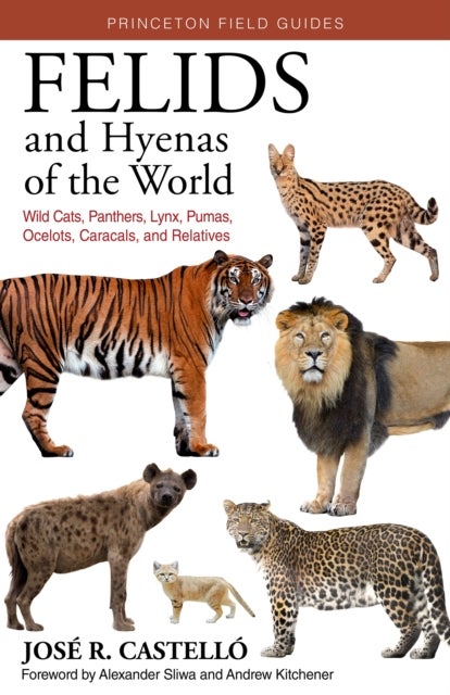 Felids and Hyenas of the World - Wildcats, Panthers, Lynx, Pumas, Ocelots, Caracals, and Relatives