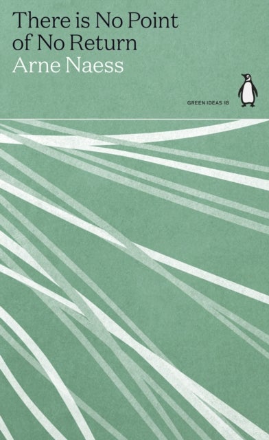 There is No Point of No Return - Penguin Green Ideas