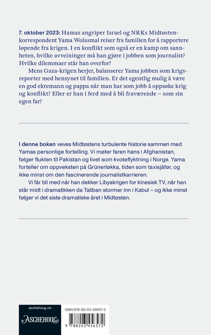 Det jeg så