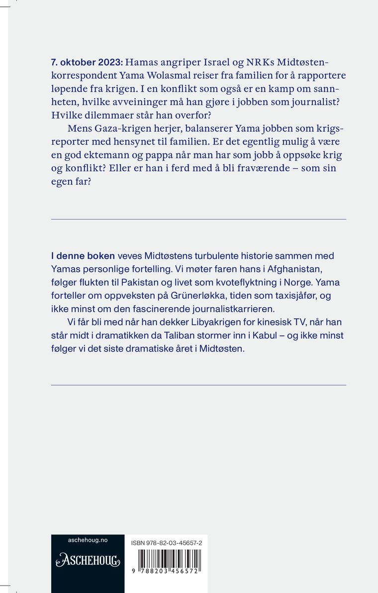 Det jeg så