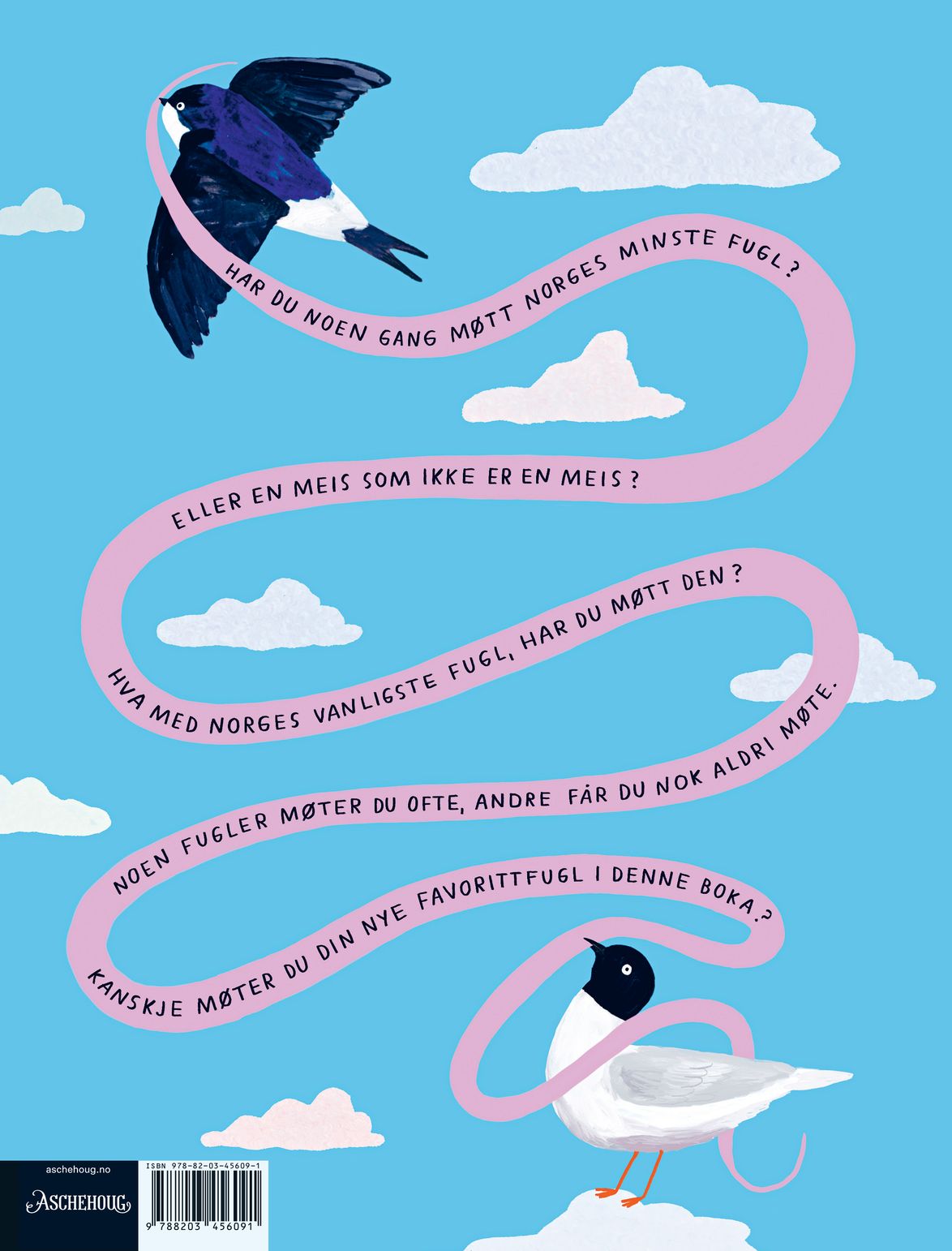 Fugler du kan ha møtt