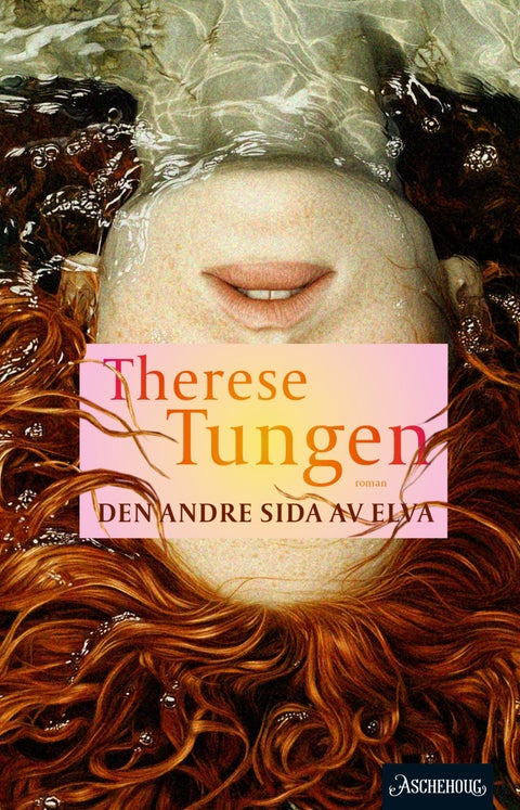 Den andre sida av elva - roman