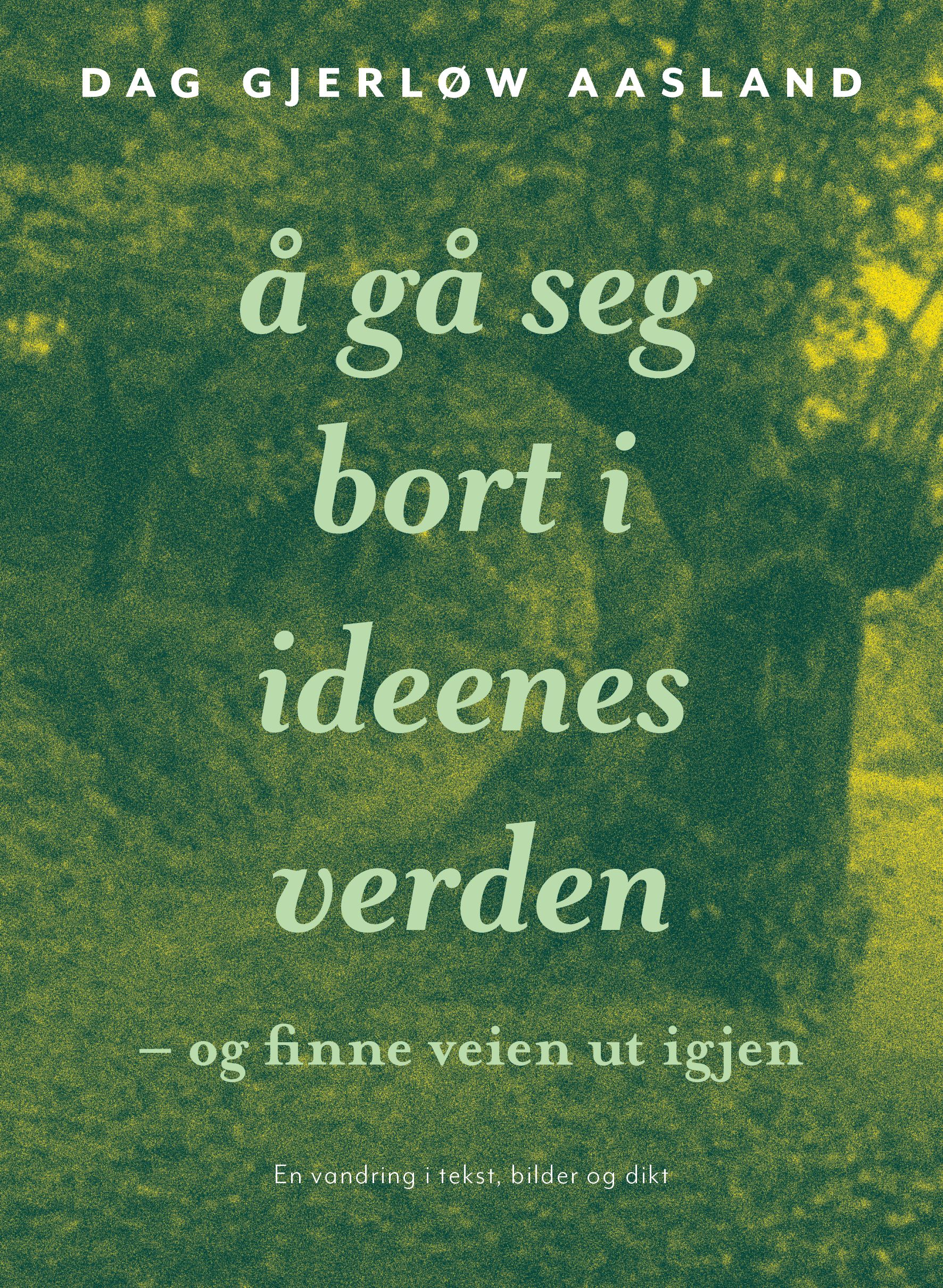 Å gå seg bort i ideenes verden - og finne veien ut igjen : en vandring i tekst, bilder og dikt