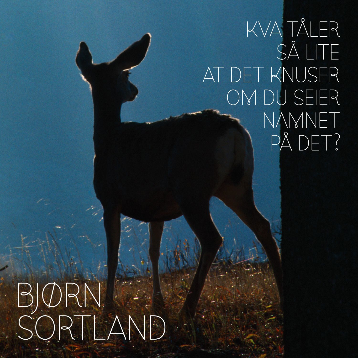 Kva tåler så lite at det knuser om du seier namnet på det?