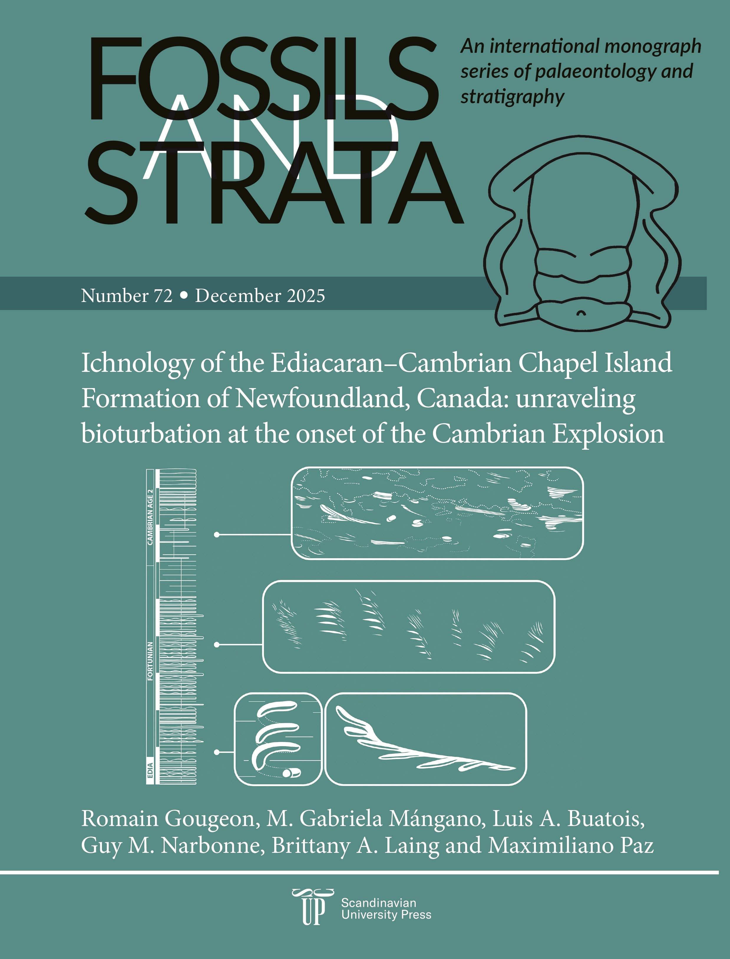 Ichnology of the Ediacaran–Cambrian Chapel island formation of Newfoundland, Canada - unraveling bioturbation at the onset of the Cambrian explosion
