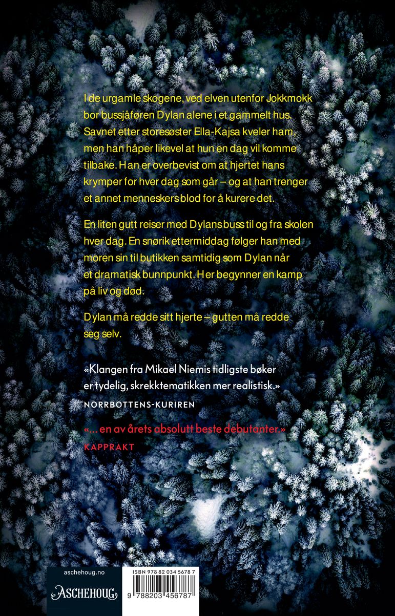 Huset ved elvens ende