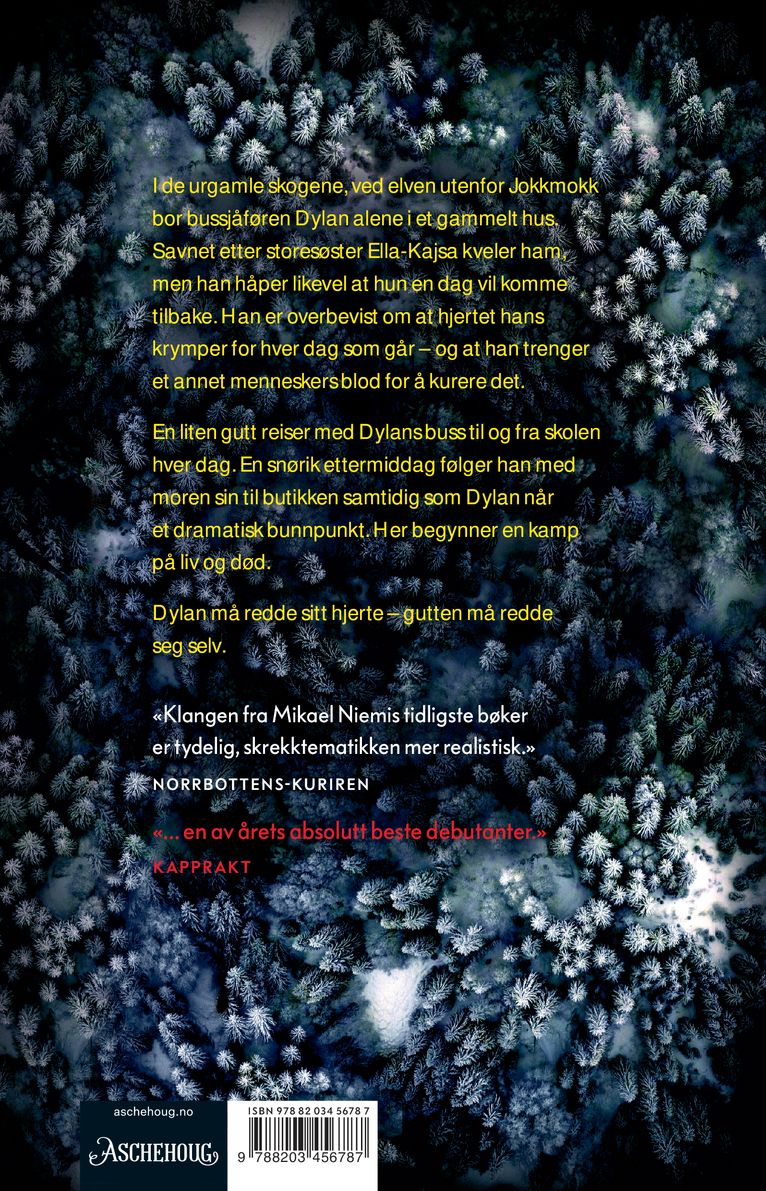 Huset ved elvens ende