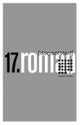 17. roman