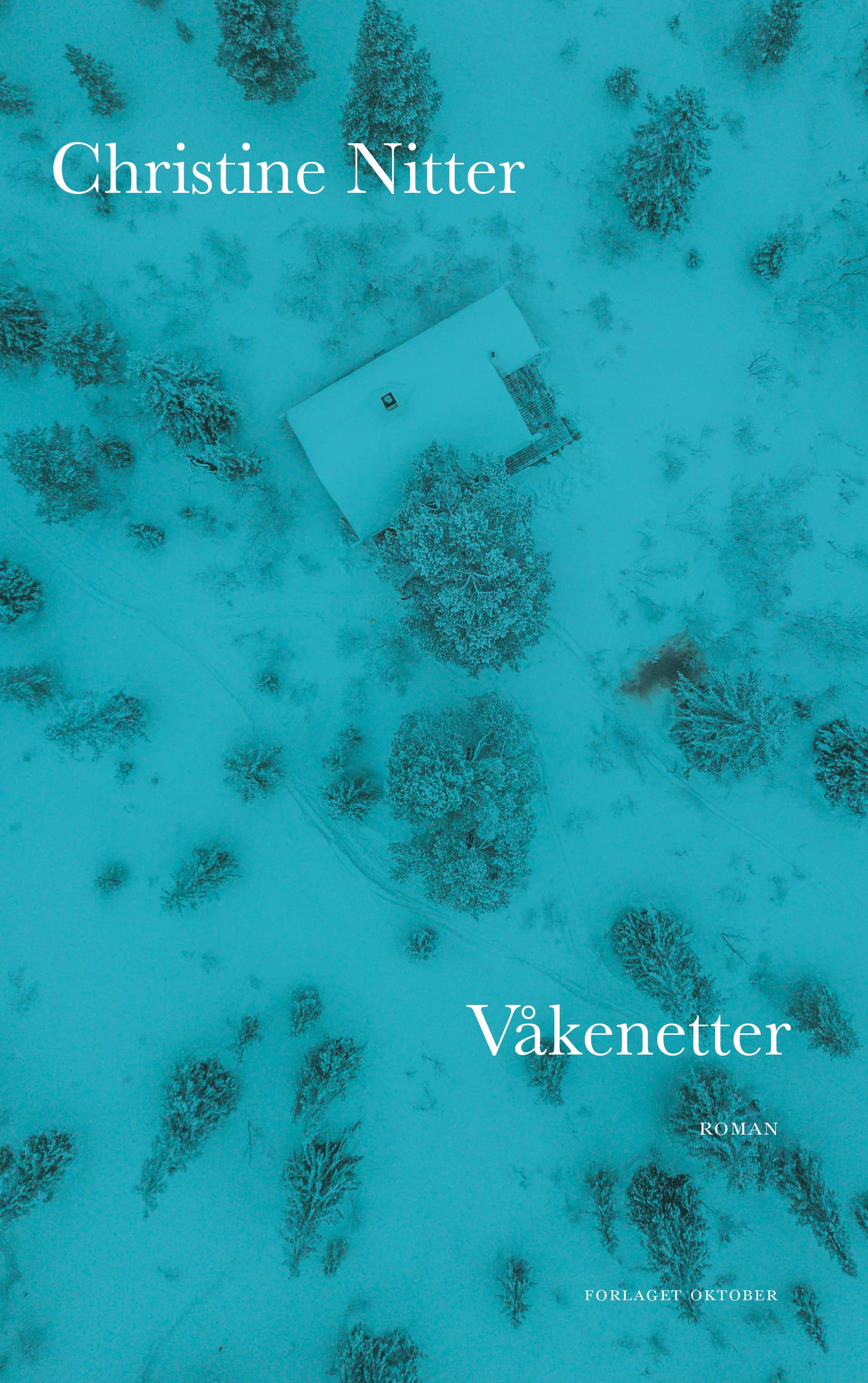 Våkenetter - roman