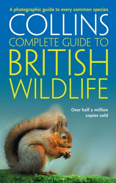 British Wildlife - A Photographic Guide to Every Common Species