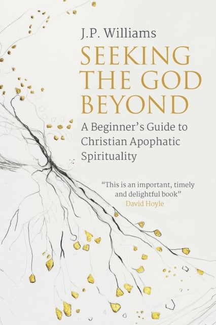 Seeking the God Beyond - A Beginner’s Guide to Christian Apophatic Spirituality
