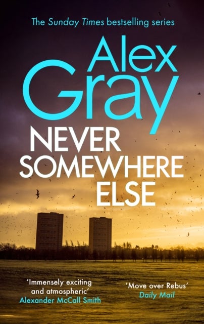 Never Somewhere Else - Book 1 in the Sunday Times bestselling detective series
