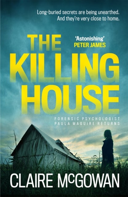 The Killing House (Paula Maguire 6) - An explosive Irish crime thriller that will give you chills