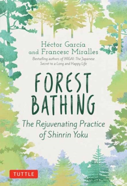 Forest Bathing - The Rejuvenating Practice of Shinrin Yoku