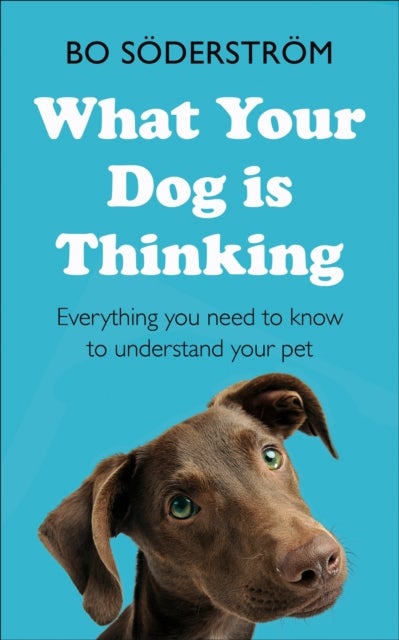 What Your Dog Is Thinking - Everything you need to know to understand your pet