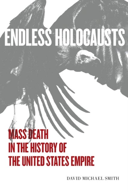 Endless Holocausts - Mass Death in the History of the United States Empire