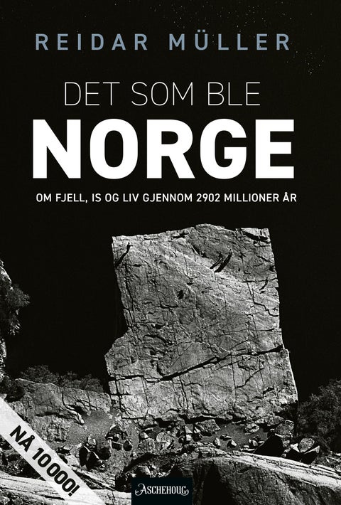 Det som ble Norge - om fjell, is og liv gjennom 2902 millioner år
