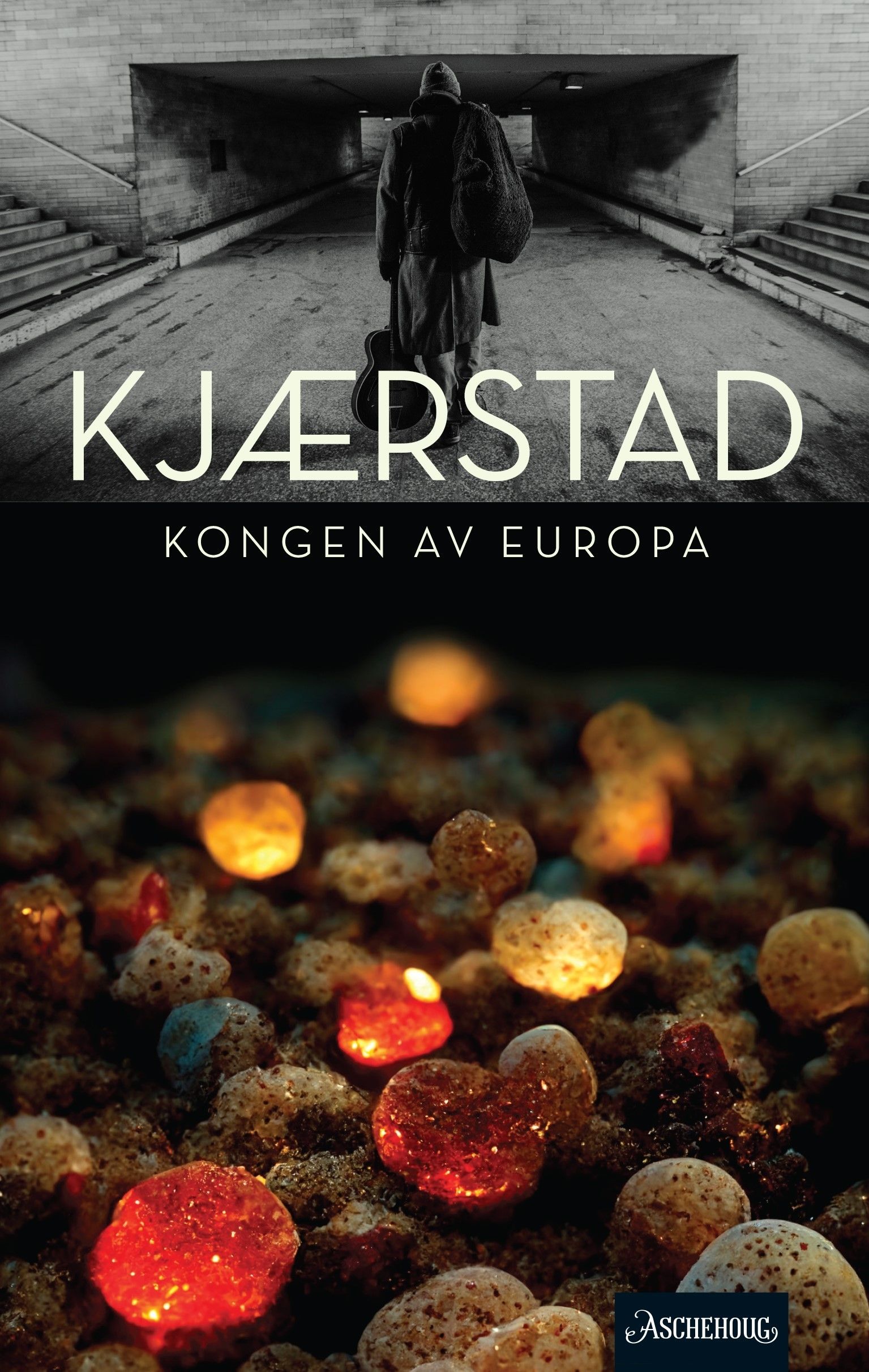 Kongen av Europa - roman