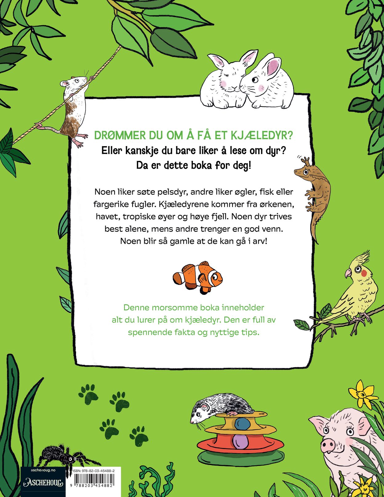 Den store boka om kjæledyr