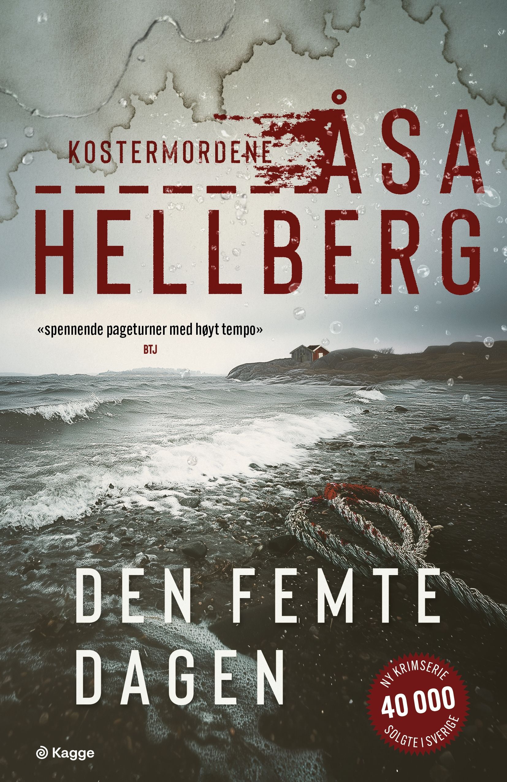 Den femte dagen