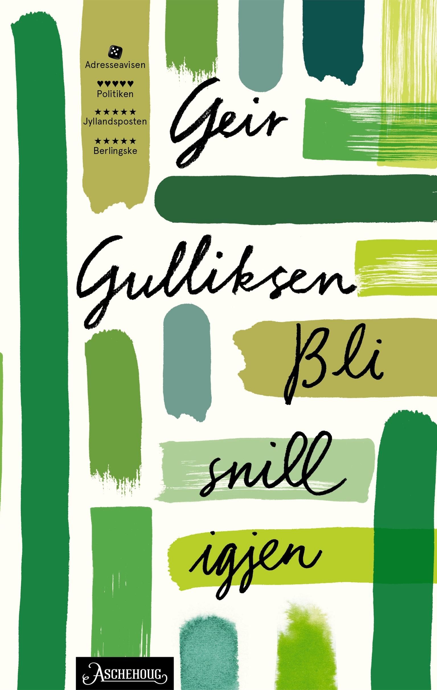 Bli snill igjen - roman