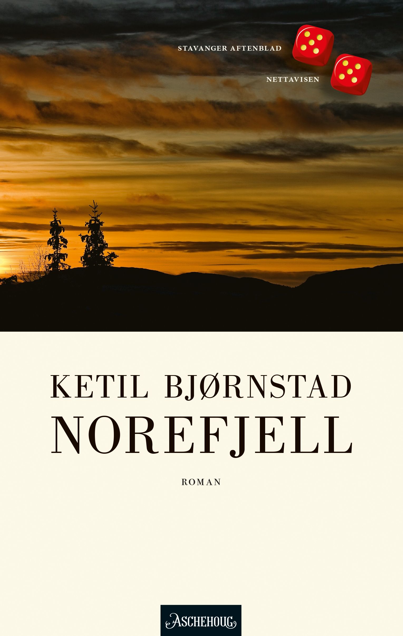 Norefjell - roman