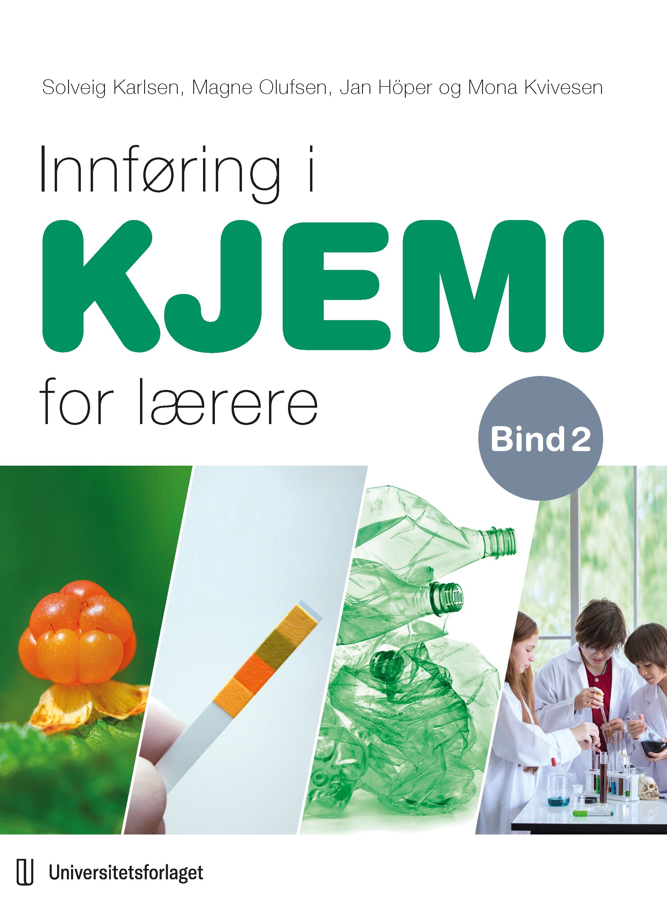 Innføring i kjemi for lærere - Bind 2