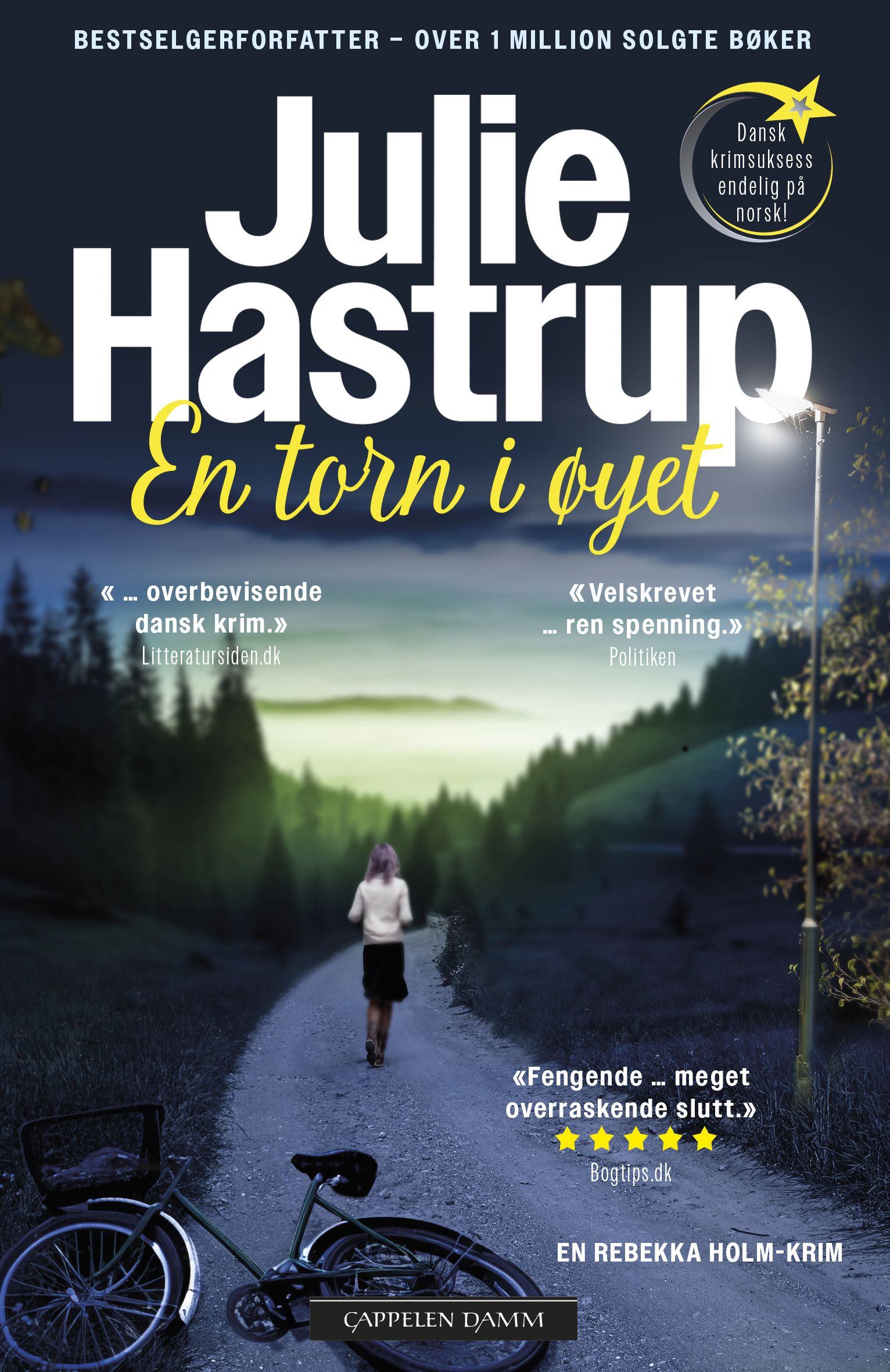 En torn i øyet - en Rebekka Holm-krim