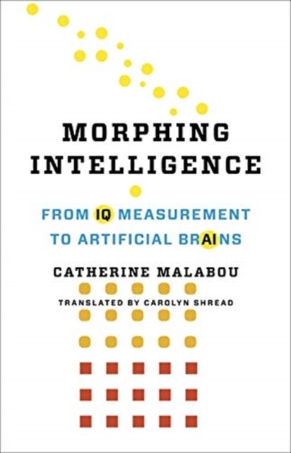 Morphing Intelligence - From IQ Measurement to Artificial Brains