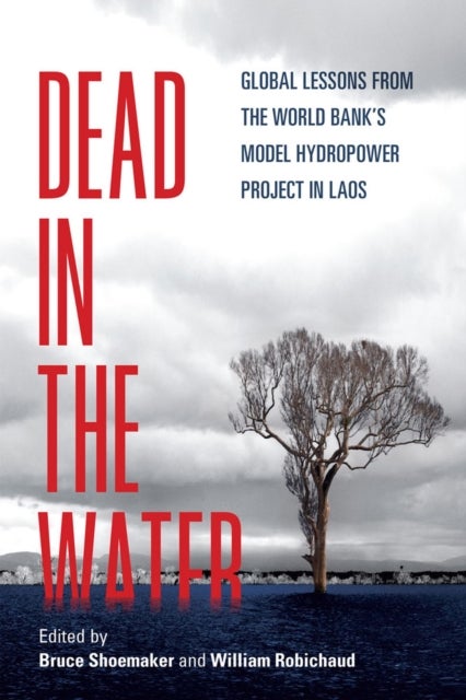 Dead in the Water - Global Lessons from the World Bank's Model Hydropower Project in Laos
