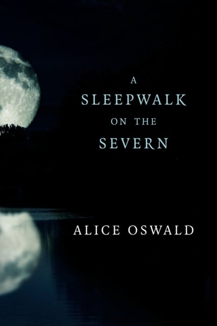 A Sleepwalk on the Severn