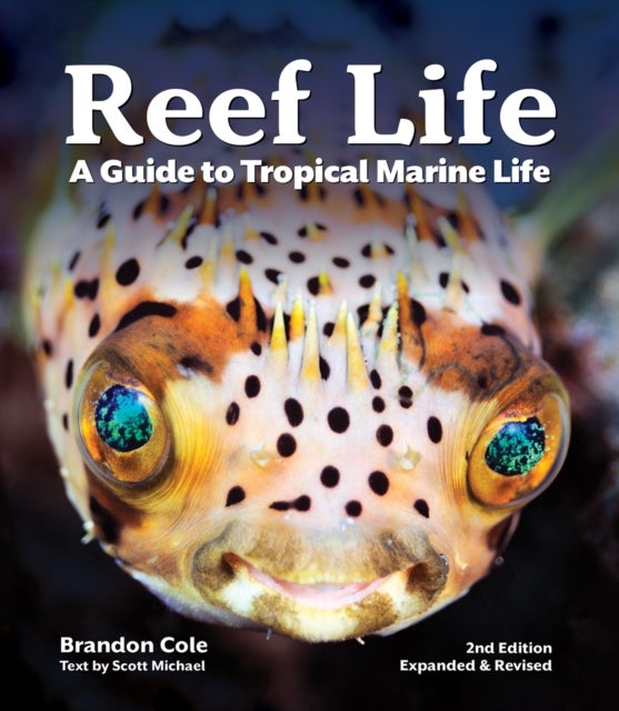 Reef Life - A Guide to Tropical Marine Life