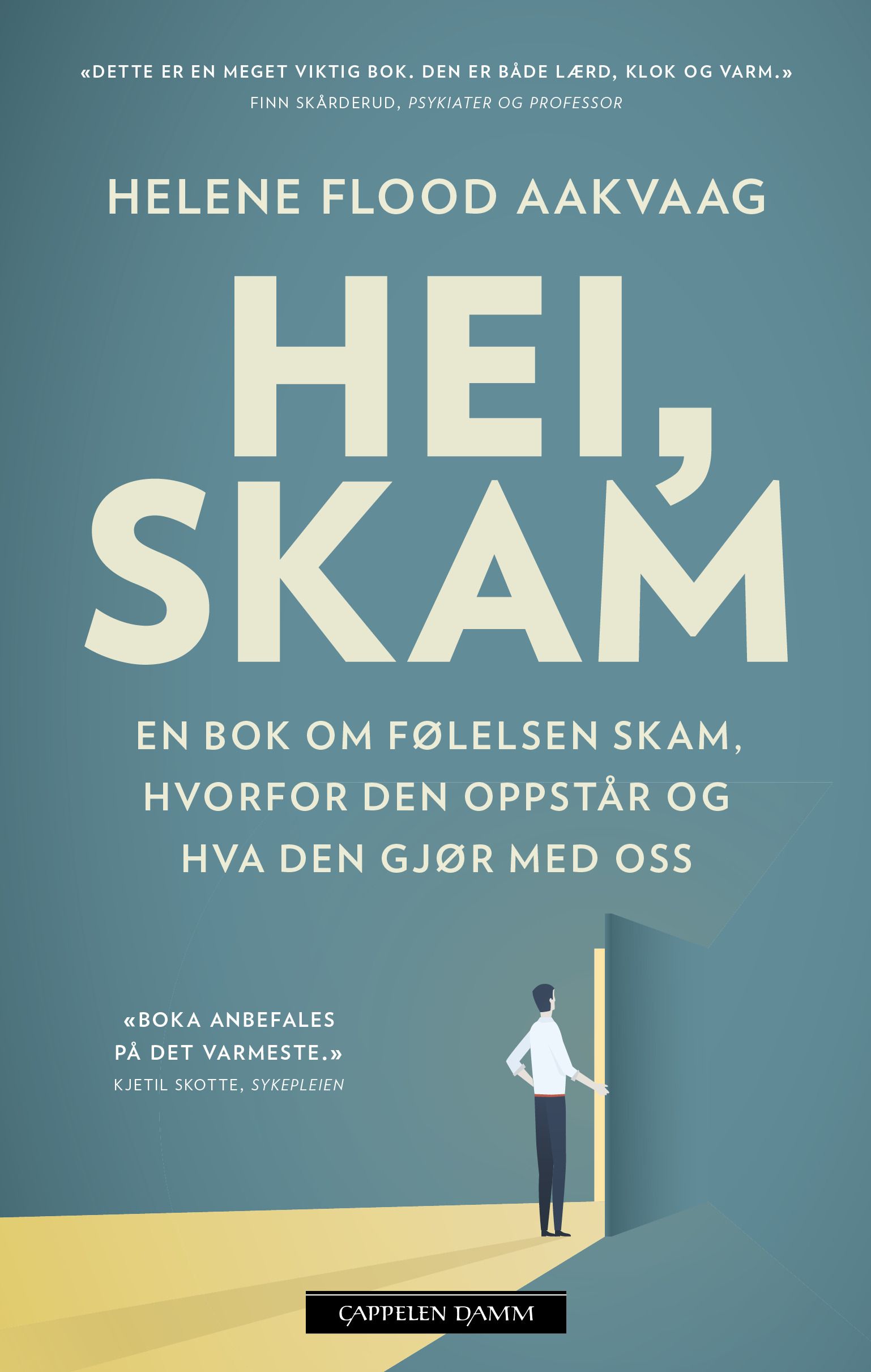 Hei, skam - en bok om følelsen skam, hvorfor den oppstår og hva den gjør med oss