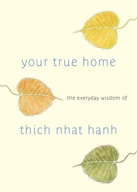 Your True Home - The Everyday Wisdom of Thich Nhat Hanh