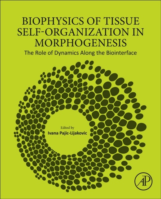 Biophysics of Tissue Self-Organization in Morphogenesis - The Role of Dynamics Along the Biointerface