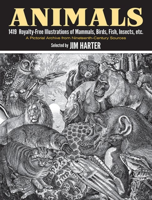 Animals - 1,419 Copyright-Free Illustrations of Mammals, Birds, Fish, Insects, Etc