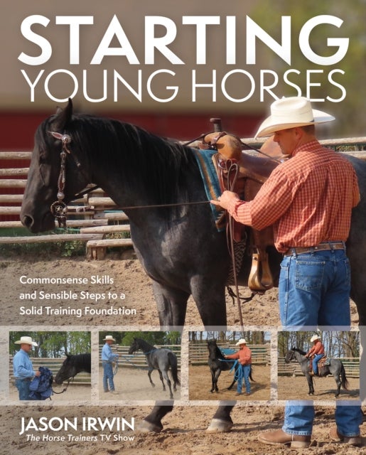 Starting Young Horses - Commonsense Skills and Sensible Steps to a Solid Training Foundation