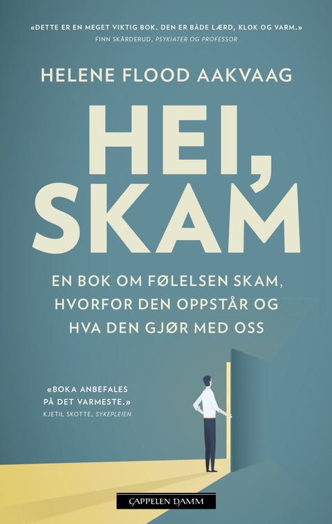 Hei, skam - en bok om følelsen skam, hvorfor den oppstår og hva den gjør med oss